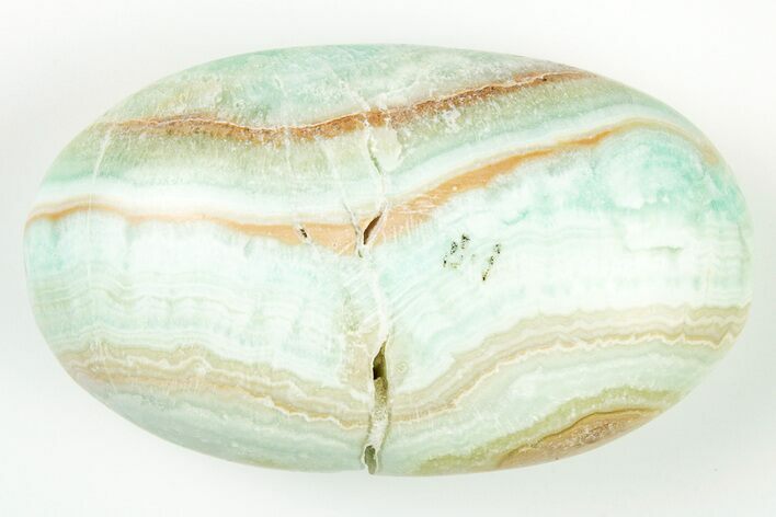 Polished Blue Caribbean Calcite Palm Stone #187869